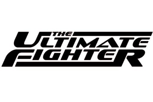 7 Ways to Reinvent the Ultimate Fighter