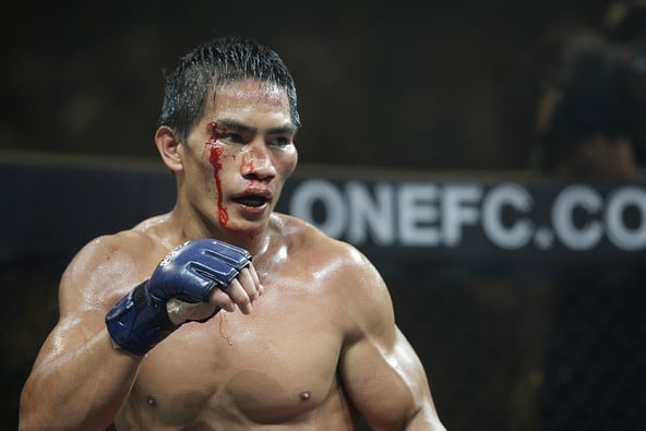 MMA: One Fighter from Each Weight Division Ready to Become a Star