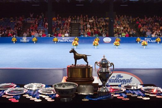 National Dog Show 2012 Results: Best in Show and Group Winners