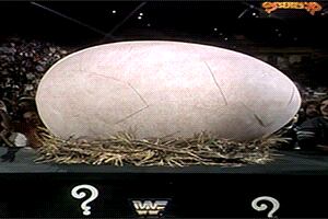WWE: 5 Things to Be Thankful for This Thanksgiving