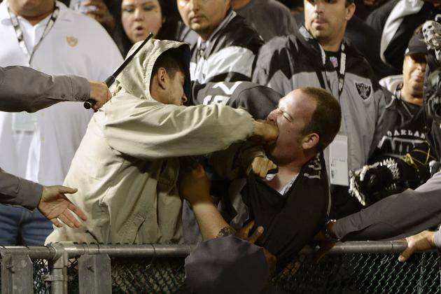 The 15 Best Fan Fights in Sports