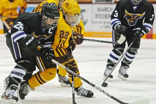 Best NCAA Women's Hockey Performances of November 2012