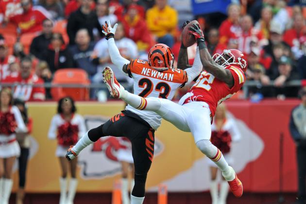 Ranking the Top 20 Free Agents the Minnesota Vikings Should Look at in 2013