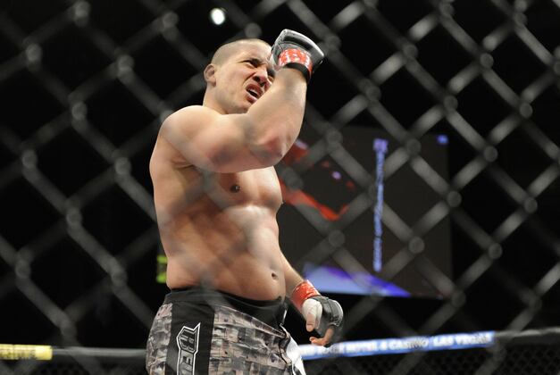 TUF 16 Finale Results: Pat Barry and the 5 Best Strikers in the HW Division