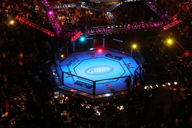MMA: 14 'Fun' Fights Fans Would Love to See