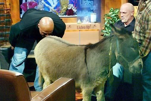 20 Most Painful Videos of Retired Athletes Embarrassing Themselves
