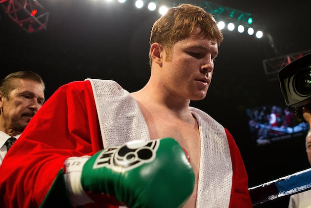 Boxers Poised to Make a Career Leap in 2013