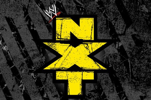 WWE Royal Rumble 2013: 5 NXT Superstars That Could Debut