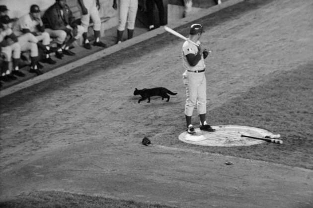 25 Weirdest Superstitions and Rituals in Sports