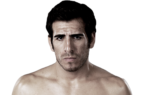 4 More Multi-Division MMA Fighters