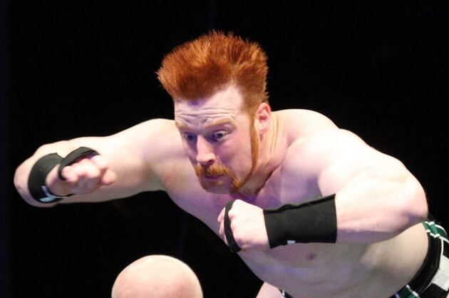 WWE Royal Rumble 2013 Card: Things You're Guaranteed to See in Year's First PPV