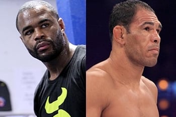UFC 156: Rashad Evans vs. Antonio Rogerio Nogueira Head-to-Toe Breakdown