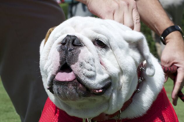 Georgia Football Recruiting: The Good and Bad of National Signing Day