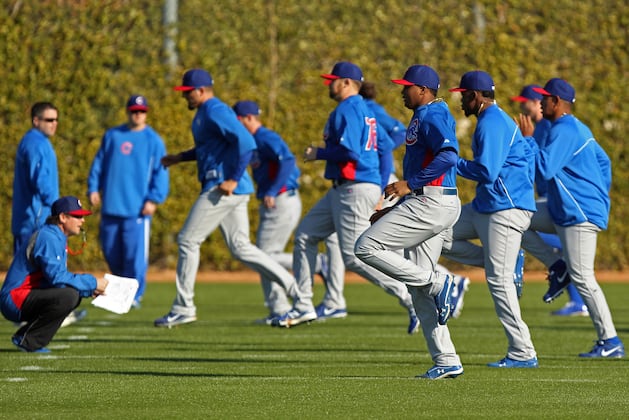 Chicago Cubs: Where the Cubs' Top Prospects Should Finish 2013