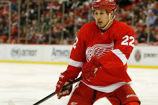 Detroit Red Wings: What Jordin Tootoo Brings to Team Other Than Fighting