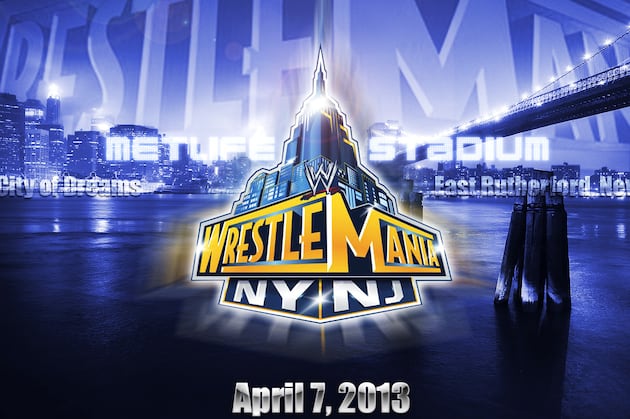 8 WWE Matches That Could Fill out the WrestleMania 29 Undercard