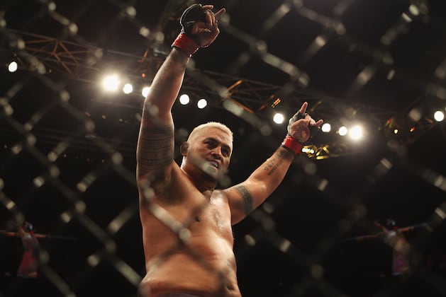 UFC on Fuel 8 Preview: Mark Hunt vs. Stefan Struve Head-to-Toe Breakdown