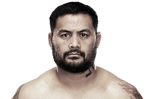 UFC on Fuel 8: Keys to Victory for Mark Hunt