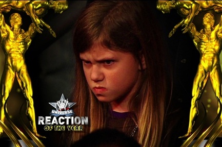 What Makes a WWE Fan