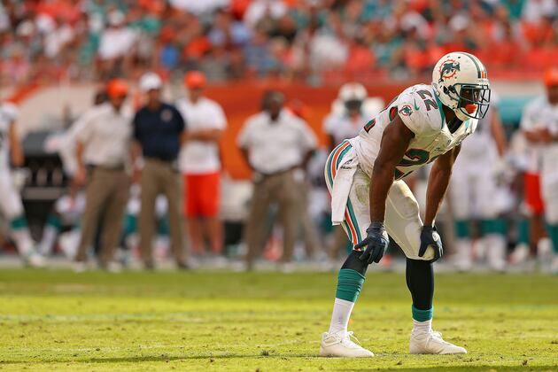 Fantasy Football: Predicting Reggie Bush's Fantasy Value in 2013