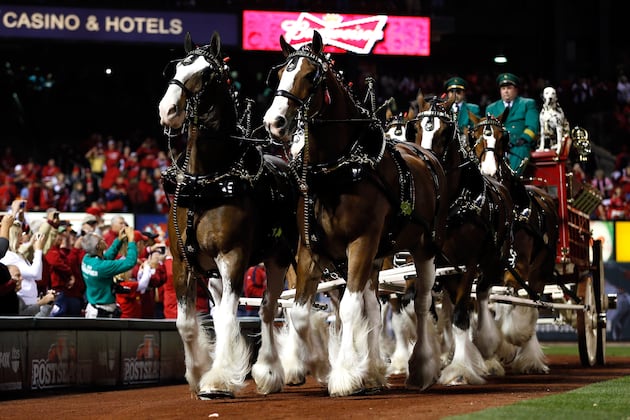 Ranking the Best Opening Day Traditions in Baseball