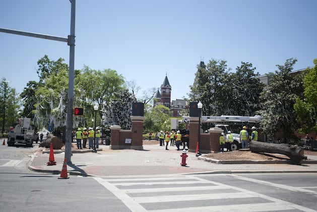 Auburn Football: Remembering Toomer's Oaks Legacy on the Plains