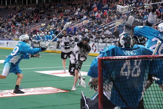 NLL 2013 Playoffs: Round 1 Previews and Predictions
