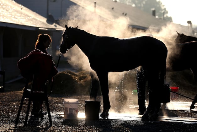 Kentucky Derby Horse Names 2013: Most Memorable Monikers This Year