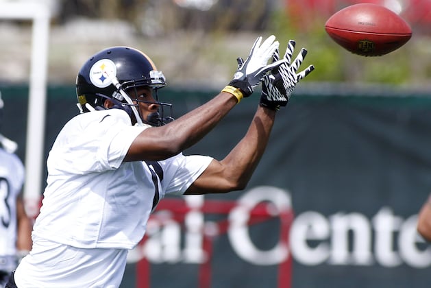 Early 2013 Ranking of the Top 15 Fantasy Football Sleepers