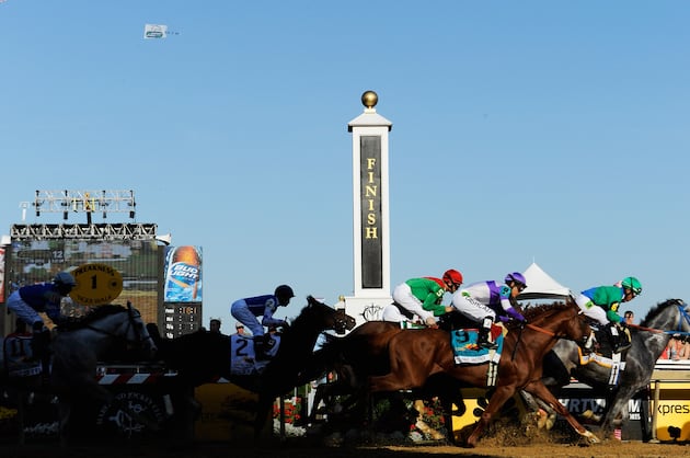 Preakness Horses 2013: Power Ranking This Year's Contenders