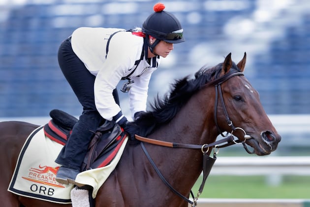 Preakness Contenders 2013: Strengths and Weaknesses of Every Horse