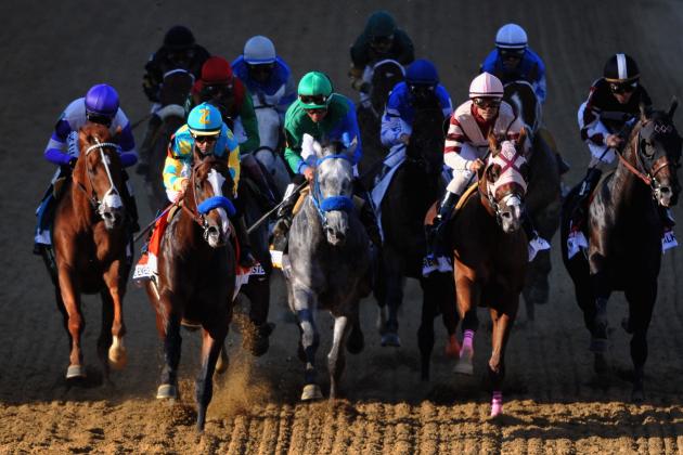 Preakness 2013 Odds: Betting Guide and Tips