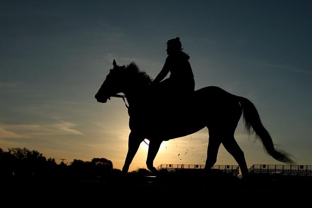 Preakness Predictions 2013: Last-Minute Analysis