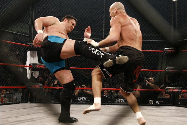 WWE Extreme Rules: 5 Steel Cage Matches Brock Lesnar and Triple H Should Emulate
