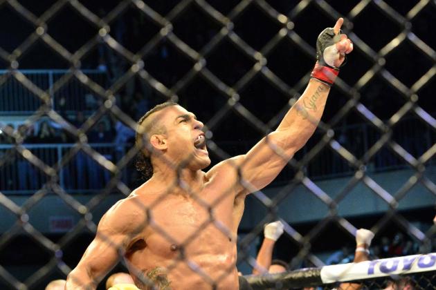 UFC on FX 8: What's Next for the Winners