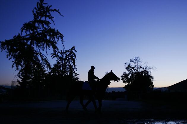Belmont Racetrack: Met Mile Preview and All Stakes Races