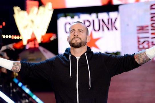 5 Superstars for CM Punk to Feud with After Payback