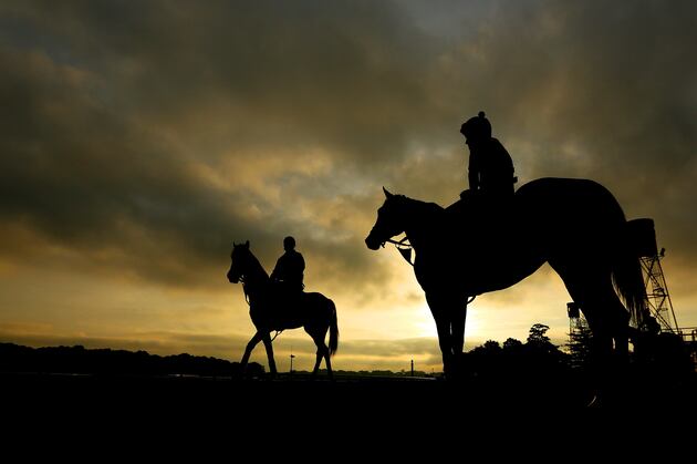 2013 Belmont Stakes Contenders: Handicapping the Entire Field