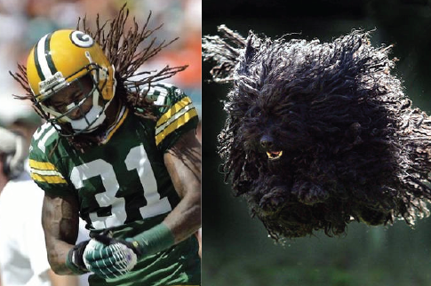 21 Sports Figures Who Look Like Animals