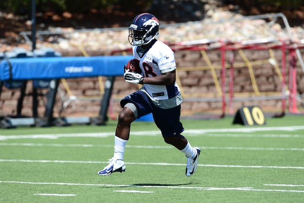 Fantasy Football 2013: Highlighting the Biggest Takeaways from NFL Minicamps