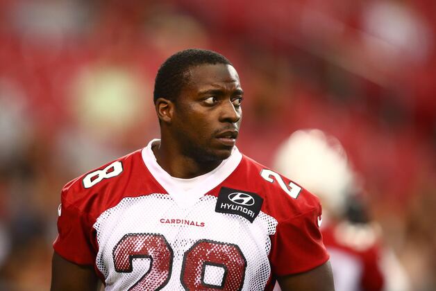 Top Fantasy Football Sleepers at Each Position for the 2013 NFL Season