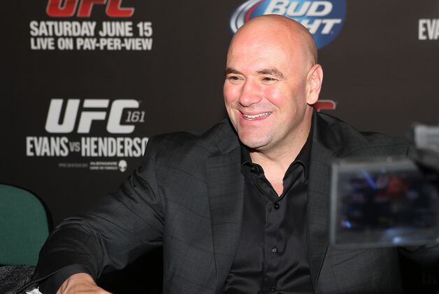 How Did the First Half of 2013 Compare to 2012 for the UFC?