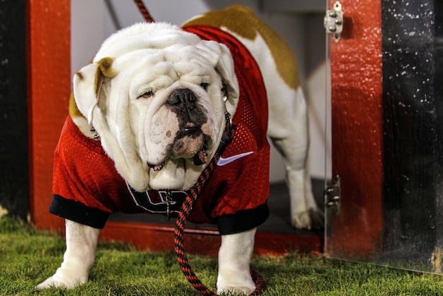 Top Uncommitted Recruits Attending Georgia Bulldogs Dawg Night Camp