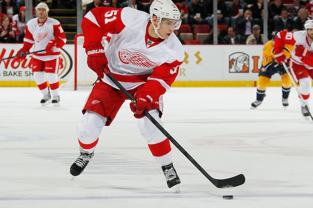 Detroit Red Wings: How Each Offseason Addition and Departure Will Affect Team