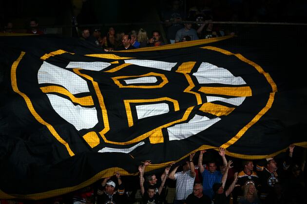 Progress Report on Boston Bruins' Top 5 Prospects