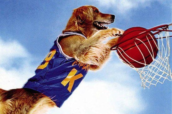 16 Kids Sports Movie Facts You Never Knew