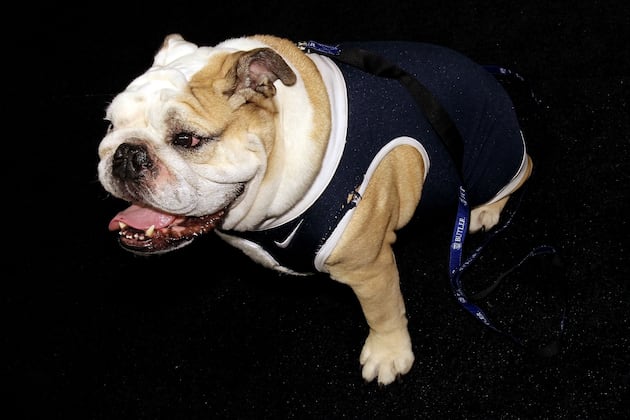 Butler Basketball: 5 Pieces of Trivia Every Bulldogs Fan Should Know