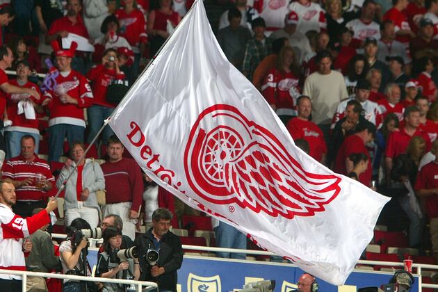 The Detroit Red Wings' Best Prospect at Each Position Entering 2013-14 Season