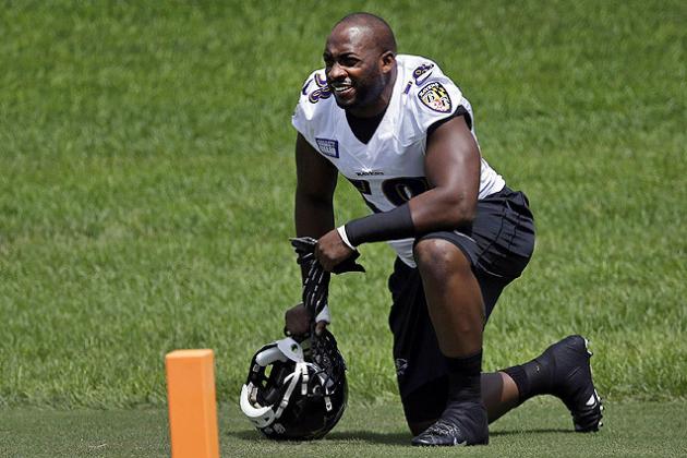 What's New for the Baltimore Ravens in 2013-14?