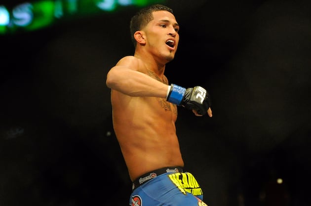 UFC Rankings for Each Weight Division Following UFC 164